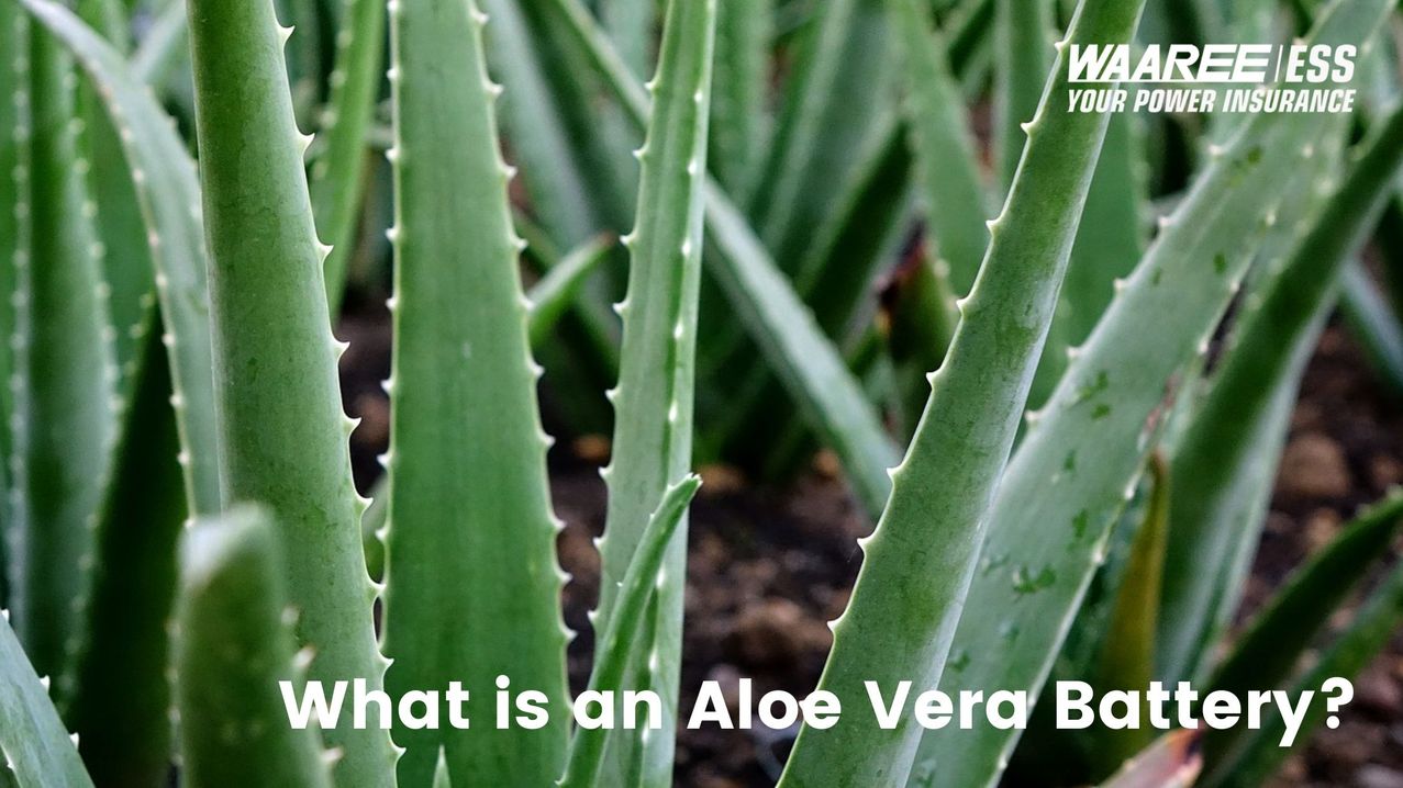 What-is-an-Aloe-Vera-Battery