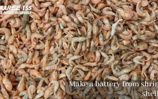 how-to-make-a-battery-from-shrimp-shells