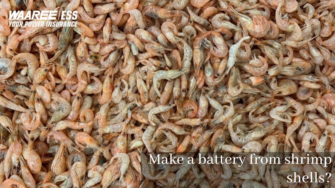 Make a Battery from Shrimp Shells